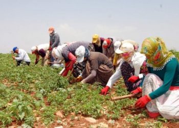Mevsimlik işçiler için yeni önlemler alındı