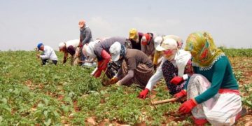 Mevsimlik işçiler için yeni önlemler alındı