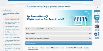 İşe Devam Desteği – Küçük İşletme Can Suyu Kredisi