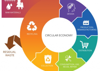 Circular Economy Newsletter #1