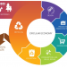 Circular Economy Newsletter #1