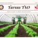 Tarsus TSO E- Gazete 1. Sayı