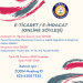 Online E-İhracat Söyleşisi