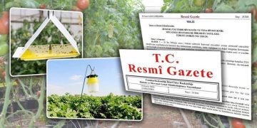 Kırsal Kalkınma Destekleri