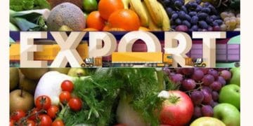 Tarsus-TSO-E-Gazete-13.Sayi_