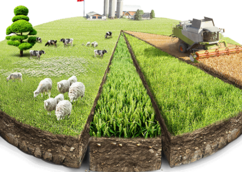 KIRSAL KALKINMA DESTEKLERİ KAPSAMINDA TARIMA DAYALI EKONOMİK YATIRIMLARIN DESTEKLENMESİ